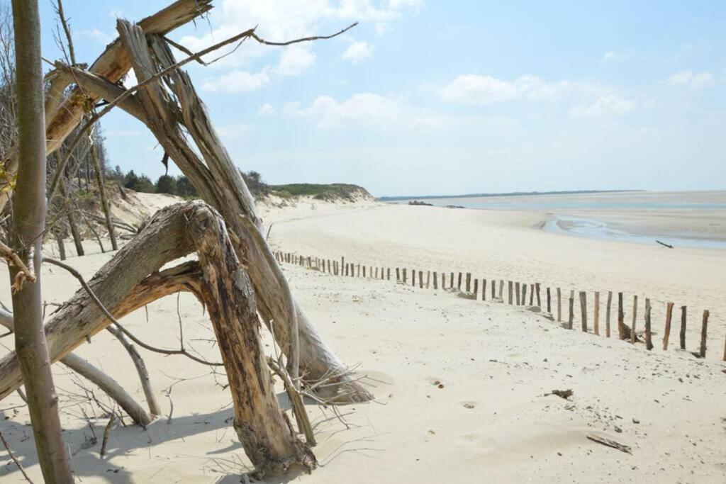 Kitesurf - 100M Plage - Deco Design Berck Εξωτερικό φωτογραφία